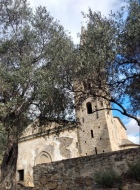 Olivi di Taggia e la chiesa della Madonna del Canneto